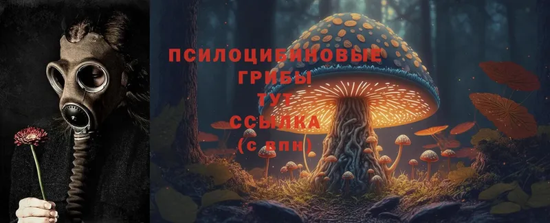 Галлюциногенные грибы Magic Shrooms  купить закладку  Донской 